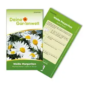Die beste Margeritensamen 2026 Test Bestseller Margeritensamen