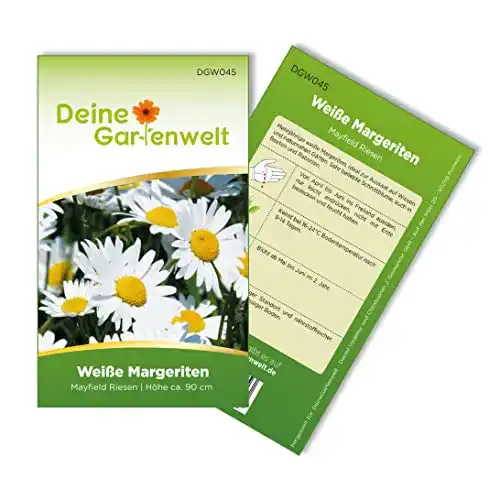 Margeritensamen