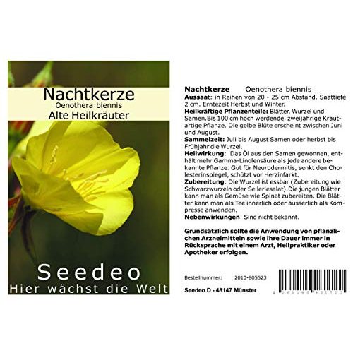 Die beste nachtkerzen samen seedeo nachtkerze oenothera biennis Bestsleller kaufen