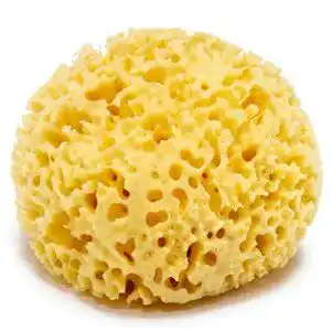 Naturschwamm