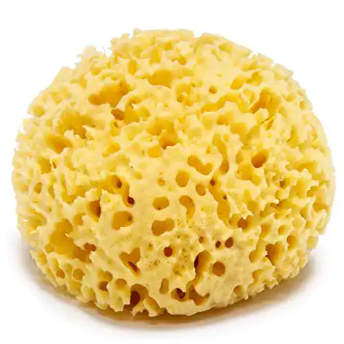 Naturschwamm