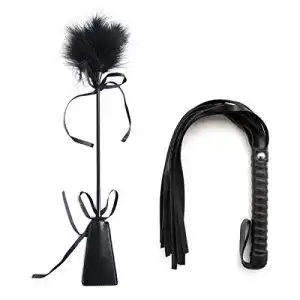 Peitsche feifanshop Feder Gerten Federkitzler mit Flogger Reiten