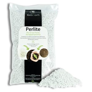 Perlite Pflanzen GebEarth – Perlite für Zimmerpflanzen (3LT)