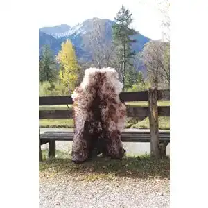 Schaffell