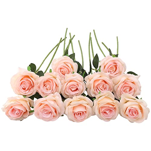Die beste seidenblumen decpro 12 stk kuenstliche rosen 197 zoll single Bestsleller kaufen