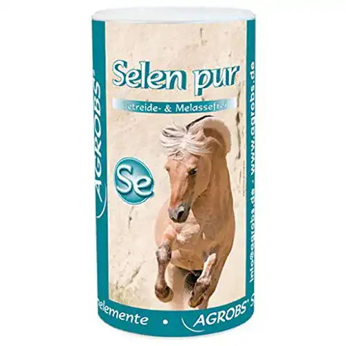Selen für Pferde