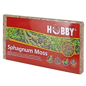 Sphagnum-Moos Dohse Aquaristik Hobby 34170 Spaghnum Moss