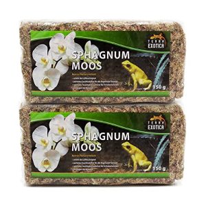 Sphagnum-Moos Terra Exotica Sphagnum Moos (300 g) Torfmoos