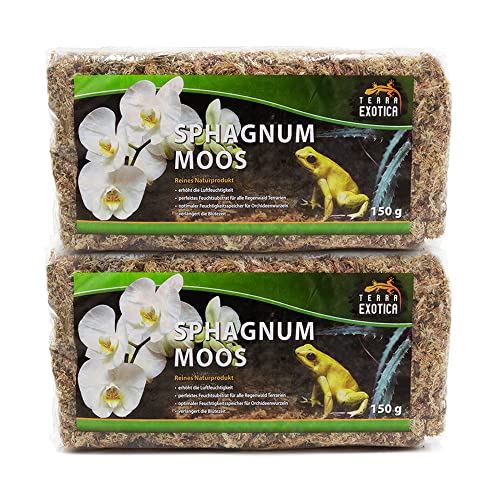 Die beste sphagnum moos terra exotica sphagnum moos 300 g torfmoos Bestsleller kaufen
