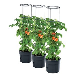 Tomatentopf PAFEN 3X Tomatenpflanze Pflanzkübel 392×1530 mm