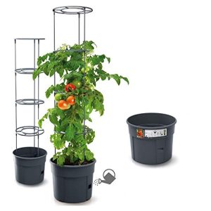 Tomatentopf rgvertrieb Blumentopf Topf für Tomatenpflanzen 28L