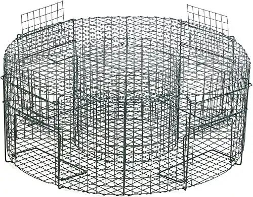 Vogelfalle heingart lebend 75cm I Effektive Taubenfalle