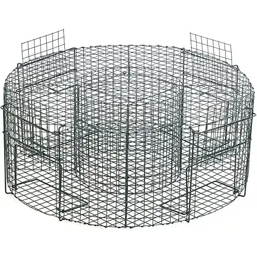 Vogelfalle heingart lebend 75cm I Effektive Taubenfalle