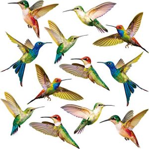Vogelschutz-Aufkleber Blulu Kolibri Fenster Haftet Vogel Fenster