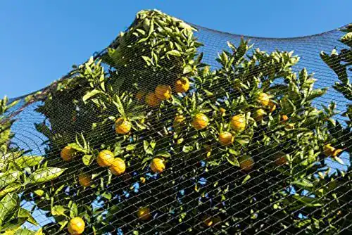 Volierennetz Vogelschutznetze Breite 15,0m x Länge wählbar, MW