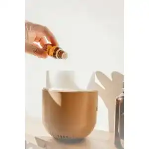 Airwick-Diffuser