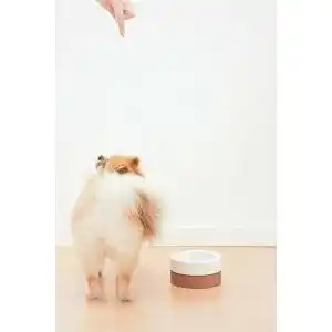 Anti-Schling-Napf Hund