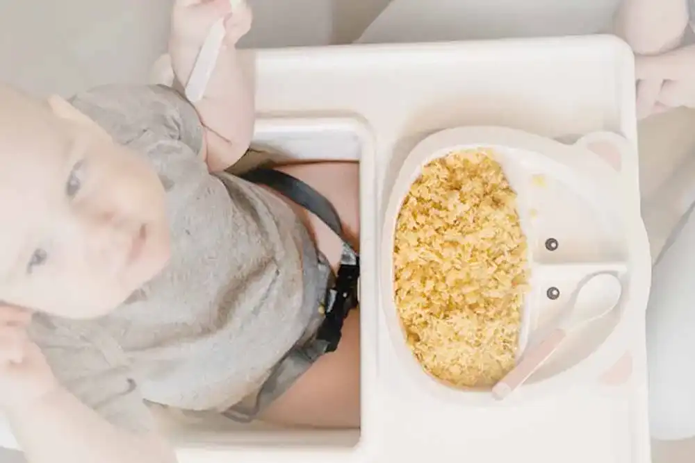 Babynahrung Aufbewahrung Babynahrung Aufbewahrung