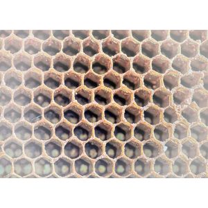 Bienenwachsplatten