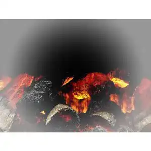 Binchotan-Aktivkohle