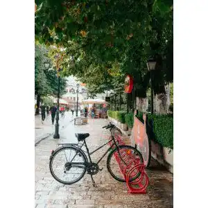 Die beste Fahrradständer für E-Bike 2026 Test Bestseller Fahrradständer für E-Bike
