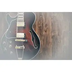 Fender-Westerngitarre