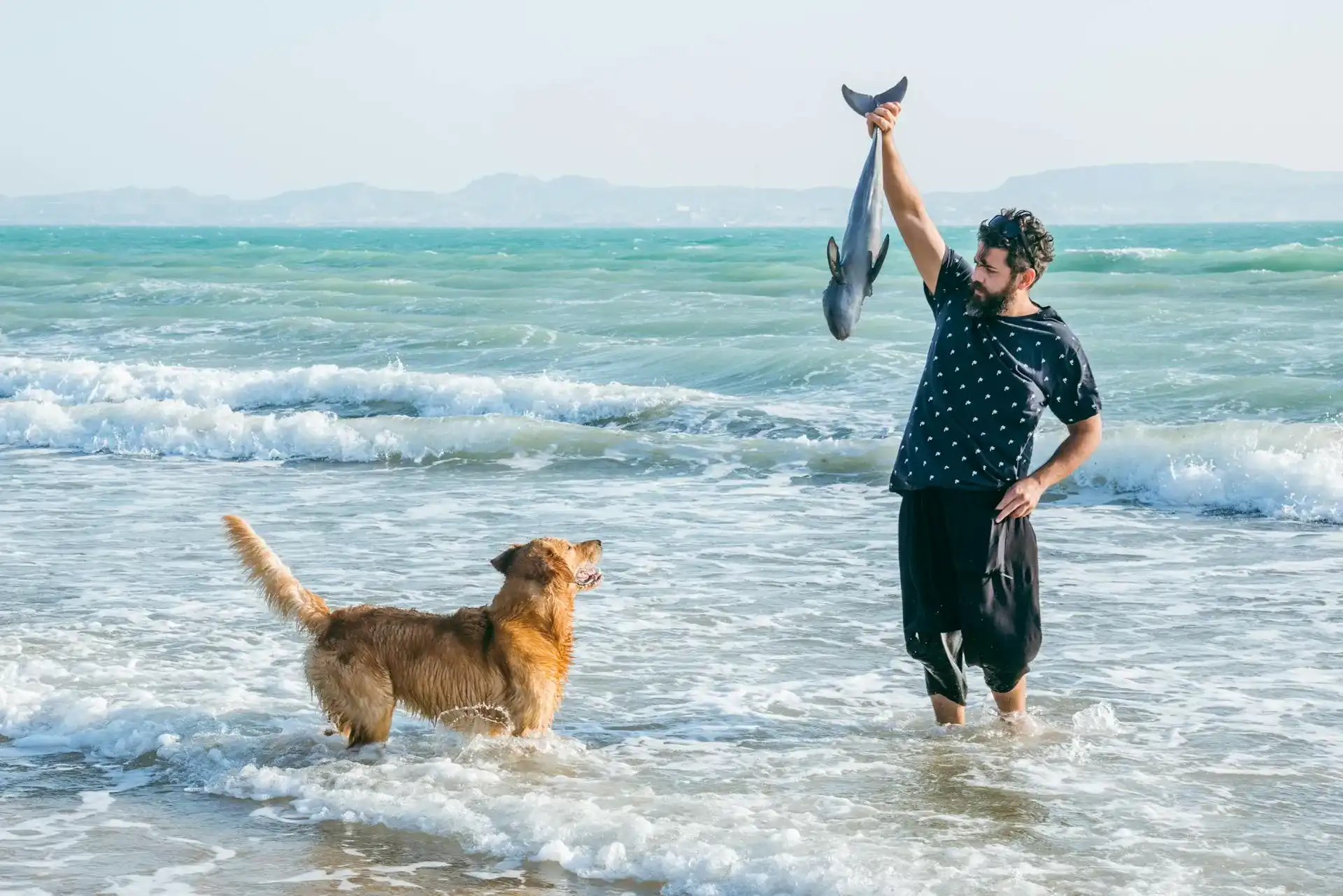 Fisch für Hunde