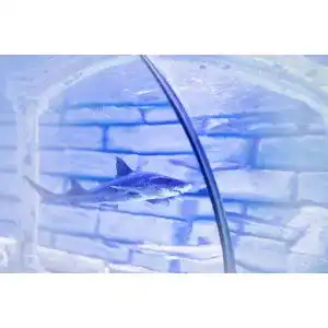 Die beste Frischwassertank-Reiniger 2026 Test Bestseller Frischwassertank-Reiniger