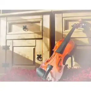 Geige