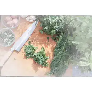 Gyuto-Messer