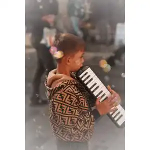Die beste Hohner-Melodica 2026 Test Bestseller Hohner-Melodica