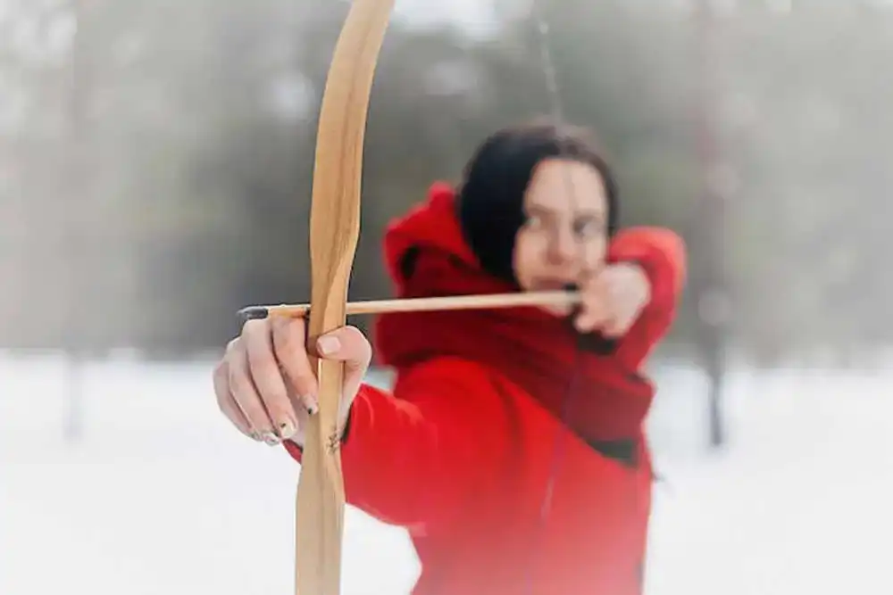 Holzpfeile Holzpfeile