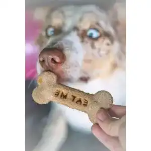 Hundekeks