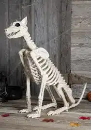Hundeskelett