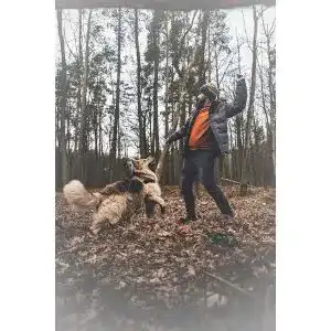 Die beste Jagdjacke Herren 2026 Test Bestseller Jagdjacke Herren