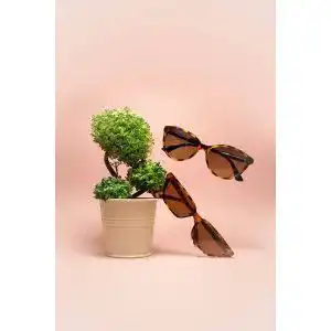 Die beste Julbo-Sonnenbrille 2026 Test Bestseller Julbo-Sonnenbrille