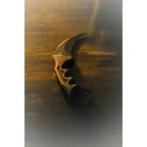 Karambit