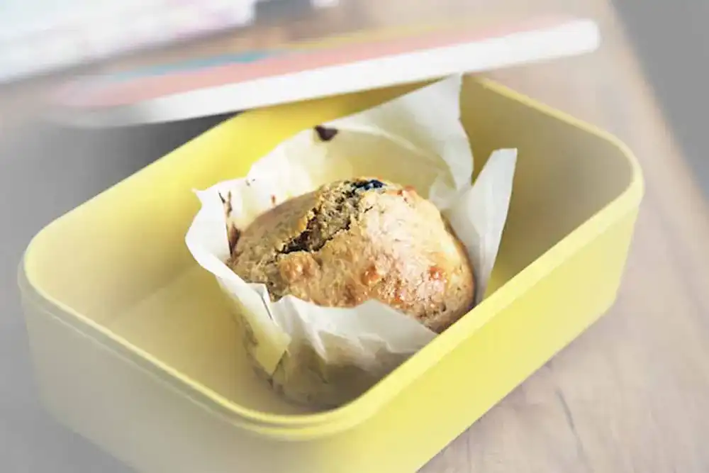 Lunchbox Lunchbox
