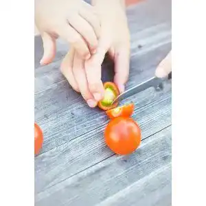 Die beste Tomatenmesser 2026 Test Bestseller Tomatenmesser