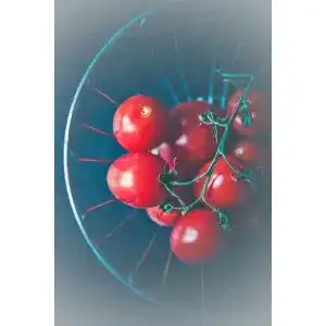 Die beste Tomatenmesser 2026 Test Bestseller Tomatenmesser