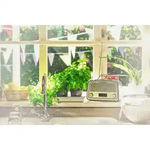 Die beste WLAN-Küchenradio 2026 Test Bestseller WLAN-Küchenradio