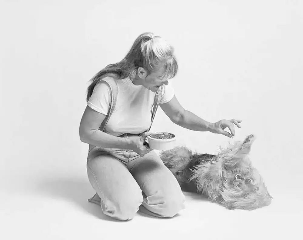Wow-Hundefutter