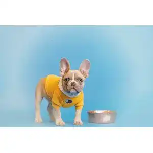Wow-Hundefutter