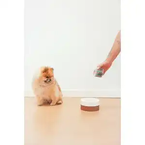 Wow-Hundefutter