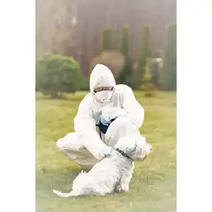 Zeckenschutz Hund ohne Chemie