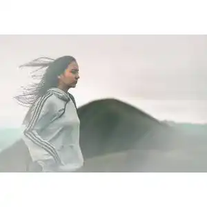 Die beste Adidas-Pullover-Damen 2026 Test Bestseller Adidas-Pullover-Damen