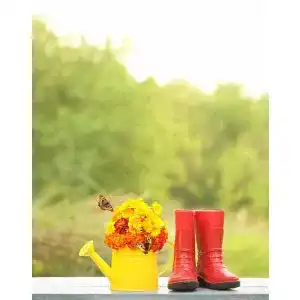 Die beste Bekina-Gummistiefel 2026 Test Bestseller Bekina-Gummistiefel