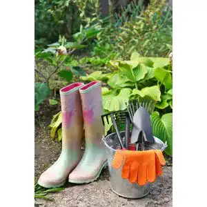 Die beste Bekina-Gummistiefel 2026 Test Bestseller Bekina-Gummistiefel
