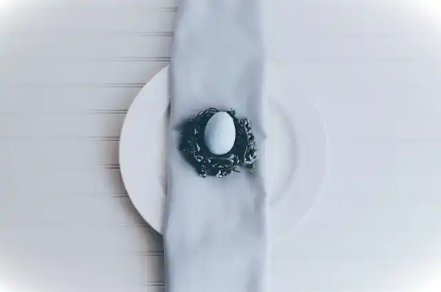 Eier-Pochierer