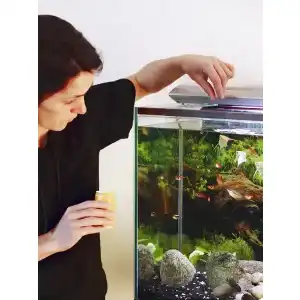 Fluval-Außenfilter